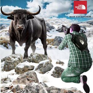 The North Face Roo Fanny Pack